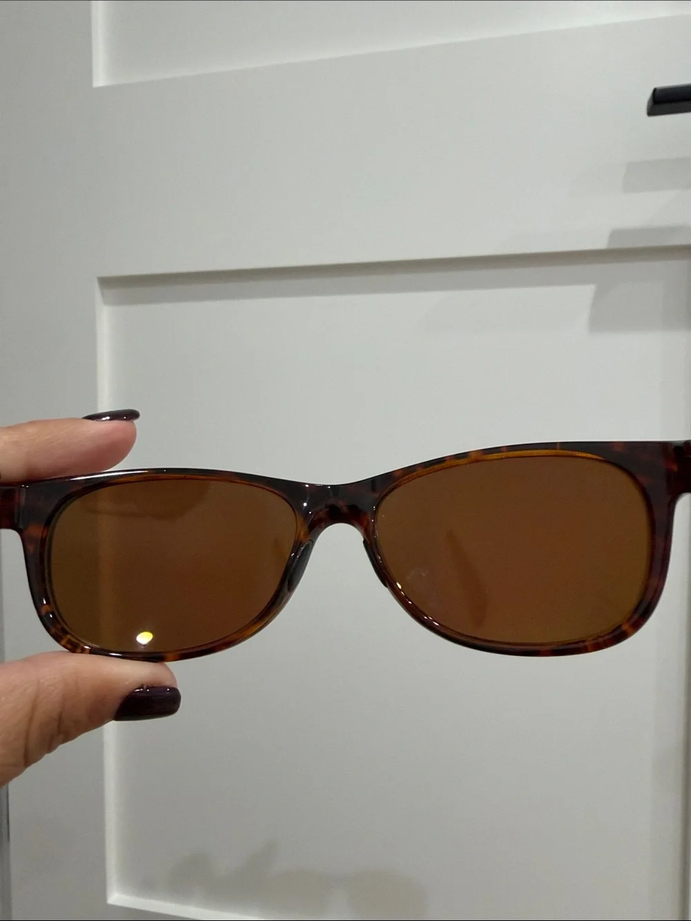 Sunglasses and Case - Not VR